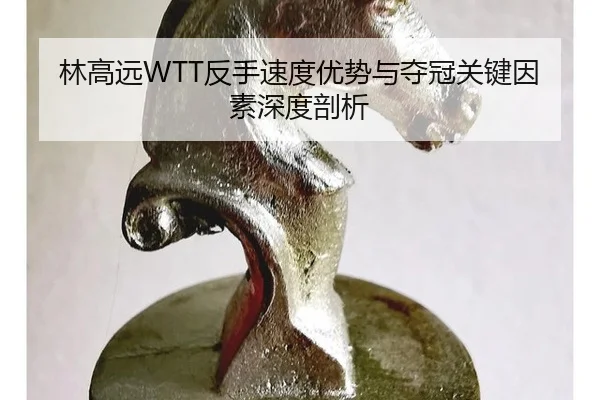 林高远WTT反手速度优势与夺冠关键因素深度剖析